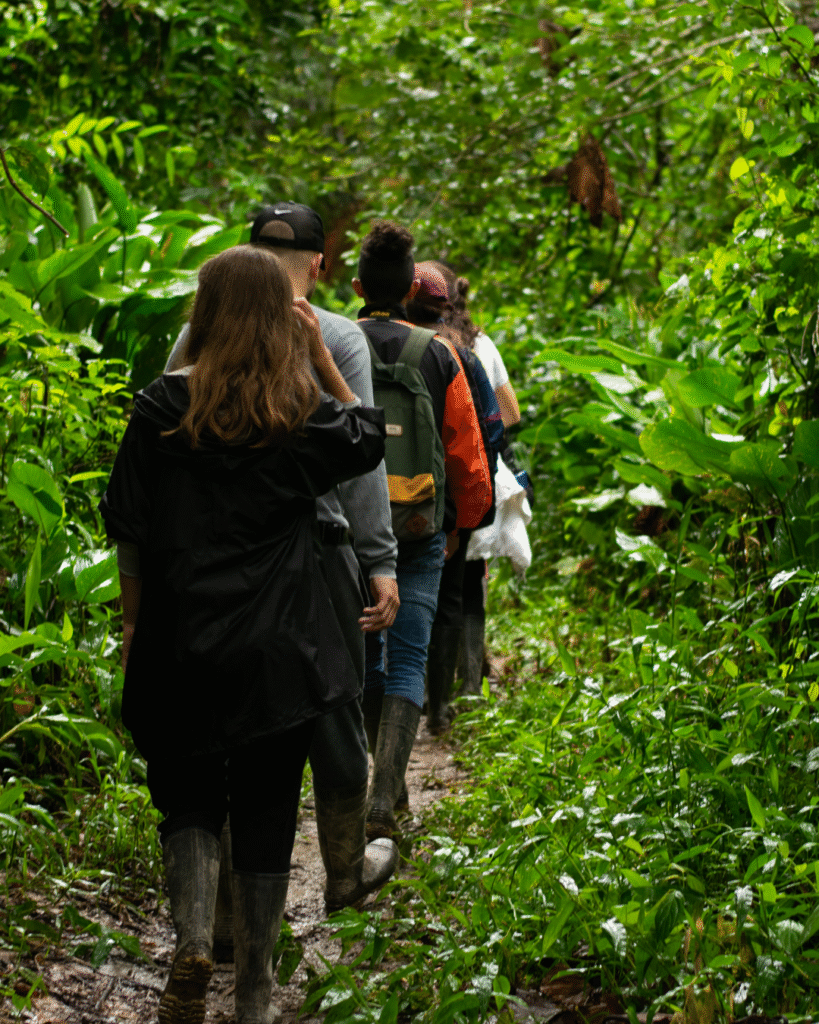 Sortie nature et santé mentale forêt Blois Orava association