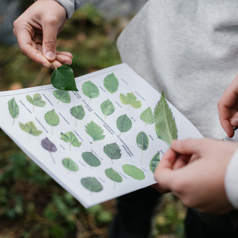 Animation nature pour enfants et adolescents dans le Loir-et-Cher 41